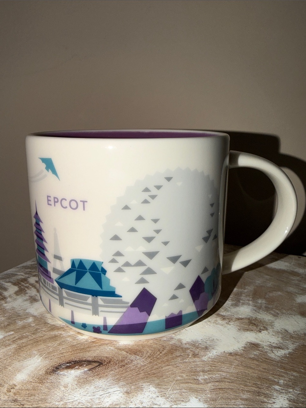 Starbucks Epcot Mug